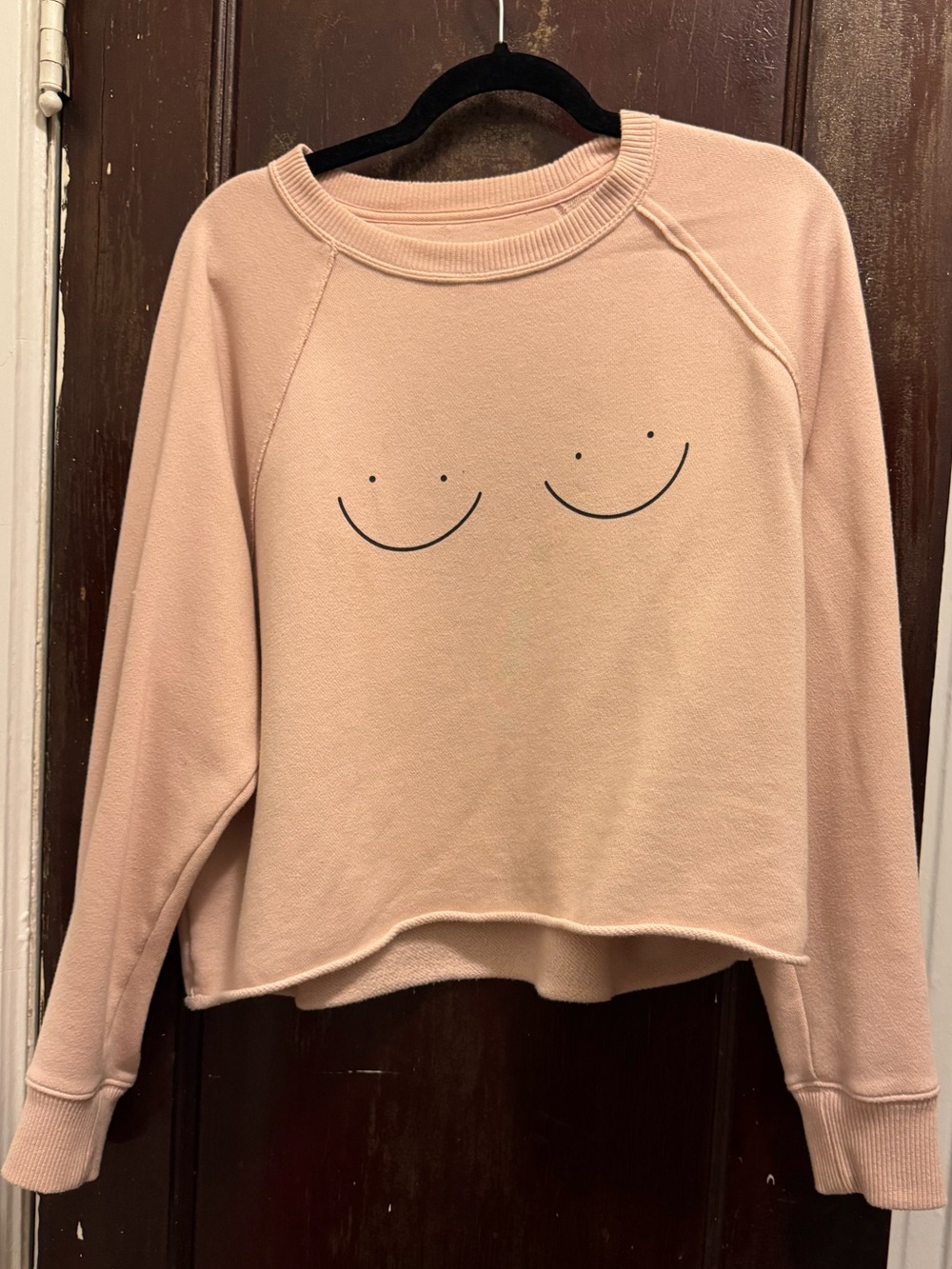 Aerie Cropped Sweatshirt